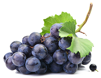 uvas